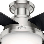 Hunter 52 inch Indoor Ceiling Fan with LED Light and Remote Control - Modern Ceiling Fan, Low Profile Mount, 4 Black Oak Blades, For Bedroom, Living Room, or Kitchen - Dempsey 59241, Brushed Nickel