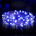 USB Powered Fairy Lights, 100 led 33 ft. USB Plug in Copper Wire USB String Lights for Bedroom Christmas Decoration Wedding Party Firefly Lights (Blue,1 Pack)