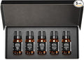 AirScent Hotel Diffuser Oil Gift Set - Metro City Hotel Scents - 10 mL, 0.34 fl oz Fragrance Oil Set - Inspired by The Hotel Costes Paris, Fairmont, London St James, The Baccarat Hotel and Others