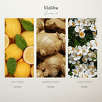 Scentiment Diffuser Oil - Malibu Hotel | Aromatherapy Home Fragrance | Inspired by Nobu® Hotel | Luxurious Scent with Notes of Lemon, Ginger, Musk (50 mL)