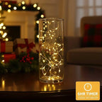 QBIS Warm White Fairy Lights Battery Operated with Timer Mode, 40 Micro LEDs for Mason Jars, 6.5ft, Silver Wire Lights Indoor Use (Warm White) - 2 Pack