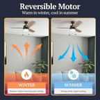 Prominence Home Reston, 42 Inch Modern Farmhouse LED Ceiling Fan with Light, Pull Chain, Dual Mounting Options, Dual Finish Blades, Reversible Motor - 51015-01 (Bronze)