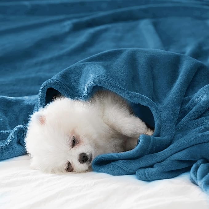 BEAUTEX Fleece Throw Blanket for Couch Sofa or Bed Throw Size, Soft Fuzzy Plush Blanket, Luxury Flannel Lap Blanket, Super Cozy and Comfy for All Seasons (Teal Blue, 50" x 60")