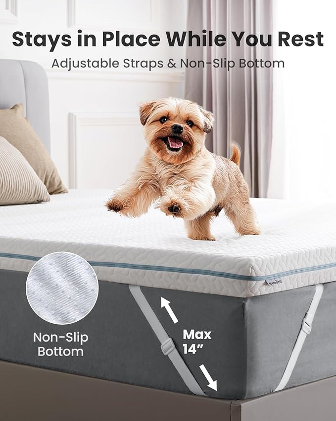 Dreamsmith Twin Mattress Topper - 3 Inch Cooling Gel Memory Foam Mattress Pad for Pressure Relief, Bed Topper with Removable Washable Soft Cover Non-Slip, CertiPUR-US & Oeko-Tex Certified