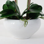 Ziwon Artificial Orchid Flowers Potted in Ceramic Pot, White Faux Phalaenopsis Orchids for Table Centerpiece, Realistic Fake Flower in vase for Home Office Decor Indoor