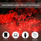 USB Powered Fairy Lights, 100 led 33 ft. USB Plug in Copper Wire USB String Lights for Bedroom Christmas Decoration Wedding Party Firefly Lights (Red,1 Pack)