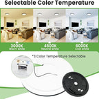 zemty Black Ceiling Light 9 Inch,24W 2400lm Bright LED Flush Mount Light Fixture 3000K/4500K/6000K Adjustable,Thin Flat Ceiling Lamp for Bathroom Closet Pantry Hallway - 2Pack
