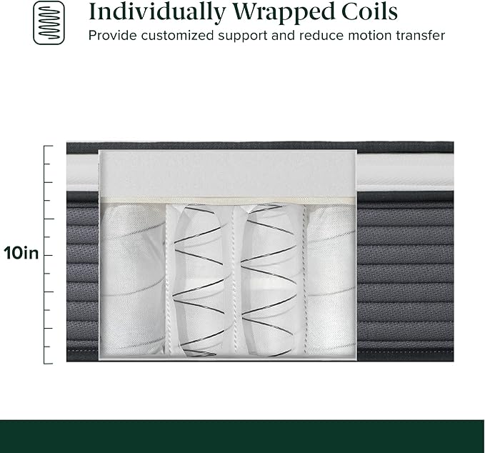 ZINUS 10 Inch True Support Hybrid Mattress [New Version], Twin, Fiberglass Free, Medium Feel, Motion Isolation, Certified Safe Foams & Fabric, Mattress in A Box