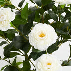 3FT Artificial Camellia Tree, 1 Pcs Fake Camellia Tree Artificial Tree, Faux Floral Plants in Cement Pot, Greenery Potted Plant for Indoor Outdoor Home Office Porch Decor (White)