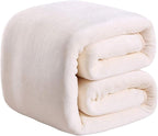 Richave 350GSM Fleece Blankets Twin Size for The Bed Warm Sofa Blanket 66" x 90"(Ivory Twin)