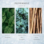 Scentiment - Peppermint Winter Collection Diffuser Oils | Aromatherapy Home Fragrance | Luxurious Scent with Notes of Peppermint, Mint, Vanilla, 500 ml