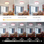 Pink Waterproof LED Ceiling Light Fixture,Music Ceiling Lamp,with Bluetooth Speaker,11Inch 18W, 2700K-6500K Dimmable RGB Color Changing Light with Remote Control,Suitable for Girls' Room