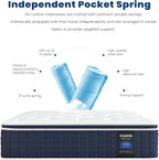 Coolvie 14 Inch King Mattress, Medium Plush Gel Memory Foam Mattress Hybrid, Double Cooling King Size in a Box Euro Top with CertiPUR-US Certified Foam, Supportive Pocket Coil for Motion Isolation