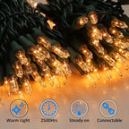 LIDORE Super Bright Clear Mini Christmas Tree String Lights, Gift for Decoration, 21.45FT 100 Count Bulbs with Green Cord, UL Listed Indoor Outdoor Lighting for Holiday (Green Cable, 1-Pack)