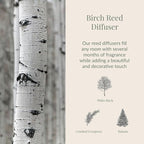 Archipelago Botanicals Birch Reed Home Fragrance Reed Diffuser, Includes Fragrance Oil, Decorative Wooden Cap & 10 Diffuser Reeds, Perfect for Home, Office or Gift, 7.85 fl oz