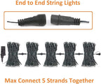 Connectable 100LED 42Ft 13Modes Christmas String Lights Outdoor Indoor | Extendable Green Wire Warm White Christmas Tree Lights with Timer | Twinkle Fairy Light Plug in for Xmas Tree (Warm White)