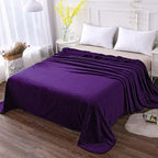 HOZY Soft Blanket Queen Size Fleece Warm Fuzzy Bed Blankets for The Bed Sofa Lightweight 350GSM Purple 90"*90"