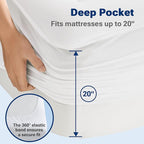 Sleep Philosophy Waterproof Mattress Protector Queen Size Mattress Pad, 3M Scotchgard, Quilted & Fitted Microfiber Mattress Topper, Noisless & Deep Pocket Fits Up to 20" Mattress, Queen White
