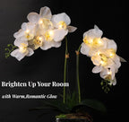 Orchid Lamp-LED Lighted Orchid Arrangements,Pre Lit Artificial Orchid,Light Up Flower Lights, Faux Orchid Phalaenopsis Arrangement (15", White)