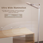 LED Desk Lamp for Home Office, Double Head Desk Lamp,24W Dimmable Desk Light 5 Color 5 Brightness Levels Office Lamp, Adjustable Gooseneck Office Light Eye Protection (White-Large Desk lamp)