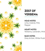 MAISON BERGER - Zest of Verbena - Lampe Berger Fragrance Refill Oil for Home Diffusers - Luxury Air Freshener with Lime, Lavandin & Mint Notes - 16.9 Fl Oz (500ml)