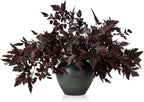 Lyrow 10 Pack Artificial Cimicifuga Plant Leaf Spray Faux Plum Cimicifuga Ramosa Leaf Branch Faux Fall Spray Silk Plants for Home Vase Wedding Garden Farmhouse Table Mantel Decor (18 Inches)