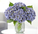 Light Purple Boho Real Touch Flowers,4PCS 21" Lifelike Artificial Hydrangeas with Stems for Indoor Outdoor Wedding Bouquet Table Centerpieces Home Baby Showers