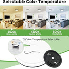 zemty Black Ceiling Light 9 Inch,24W 2400lm Bright LED Flush Mount Light Fixture 3000K/4500K/6000K Adjustable,Thin Flat Ceiling Lamp for Bathroom Closet Pantry Hallway