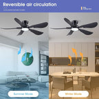 52 Inch Modern Ceiling Fans with Lights, Flush Mount Ceiling Fan with Light and Remote/APP Control, 5 Reversible 6 Speeds Curved Blades, 3 CCT Dimmable Lights for Bedroom, Black