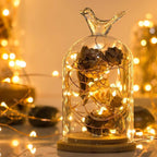 Sanniu Fairy Lights Battery Operated, 6 Packs Mini Battery Powered Copper Wire Starry String Lights for Christmas,Bedroom, Parties,Wedding,Indoor,Home Decoration (5m/16ft Warm White)