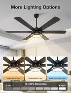 warmiplanet Ceiling Fans with Lights and Remote Control, 62 Inch, 6 Speeds Reversible DC Motor, 3 Color Dimmable Light, Timer, Noiseless, Black, 6 Blades