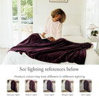NANPIPER Sherpa Blanket Twin Size for Couch, Warm and Lightweight Throw, Soft Fuzzy Plush Fleece for Winter, Plum Purple 60x80 Inches