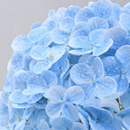 MARTINE MALL 4Pcs 21in Hydrangea Artificial Flowers, Latex Real Touch Hydrangeas Lifelike Large Hydrangea Flowers for Home Decor Party Arrangements Wedding Bouquets Centerpieces (Blue)