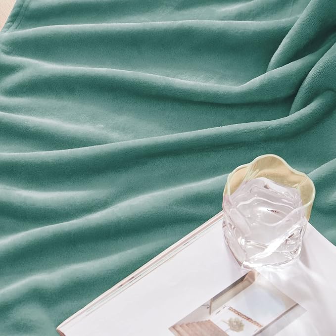 Exclusivo Mezcla Fleece Throw Blanket for Couch, Sofa, 300GSM Super Soft and Warm Blankets, Celadon Throw All Season Use, Cozy, Plush, Lightweight, 50x60 Inches