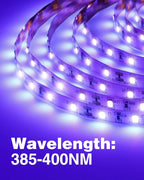 Onforu 65.6ft LED Black Light Strip, 1200 Units Lamp Beads, 12V Flexible Blacklight Fixtures, 20m LED Ribbon, Non-Waterproof Black Lights for Glow Party, Indoor Birthday Halloween Party, Body Paint