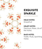MAISON BERGER - Exquisite Sparkle - Lampe Berger Fragrance Refill for Home Fragrance Oil Diffuser - 16.9 Fluid Ounces - 500 milliliters