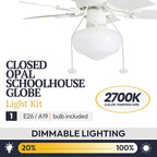 Prominence Home Hero, 28 Inch Traditional Flush Mount Indoor LED Ceiling Fan with Light, Pull Chain, Dual Finish Blades, Reversible Motor - 41530-01 (White)