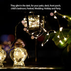 [12-Pack]String Lights Led Fairy Battery Starry String Lights 20 Tiny Lights On 3.5Ft Silver Wire For DIY Wedding Centerpiece, Mason Jar Craft, Christmas Tree, Garlands, Party Decoration (warm white)
