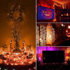 Halloween Orange Fairy String Lights: 12 Pack 7 Ft 20 LED Battery Operated Firefly Lights on Black Wire Starry Moon Lights for DIY Party Bedroom Patio