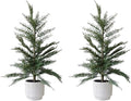 CG Hunter Holiday Collection, Set-of-2 Faux Cedar Trees, Premium Artificial Indoor & Outdoor Cedar Tree Stands 24" Tall in Creme Pot–Perfect Christmas Decoration