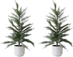 CG Hunter Holiday Collection, Set-of-2 Faux Cedar Trees, Premium Artificial Indoor & Outdoor Cedar Tree Stands 24" Tall in Creme Pot–Perfect Christmas Decoration