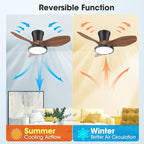 ocioc Quiet Ceiling Fan with LED Light DC motor 32 inch Large Air Volume Remote Control Walnut for Kitchen Bedroom Dining room Patio