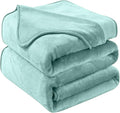 Soft Queen Size Blanket for All Season Warm Fuzzy Microplush Lightweight Thermal Fleece Summer Autumn Fall Winter Spring Blankets for Queen Full Bed Couch Sofa,90x90 Inches,Sage Green