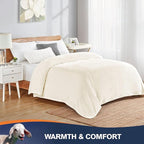 Walensee Fleece Blanket Plush Throw Fuzzy Lightweight (Twin Size 60x80 Cream) Super Soft Microfiber Flannel Blankets for Couch, Bed, Sofa Ultra Luxurious Warm and Cozy for All Seasons