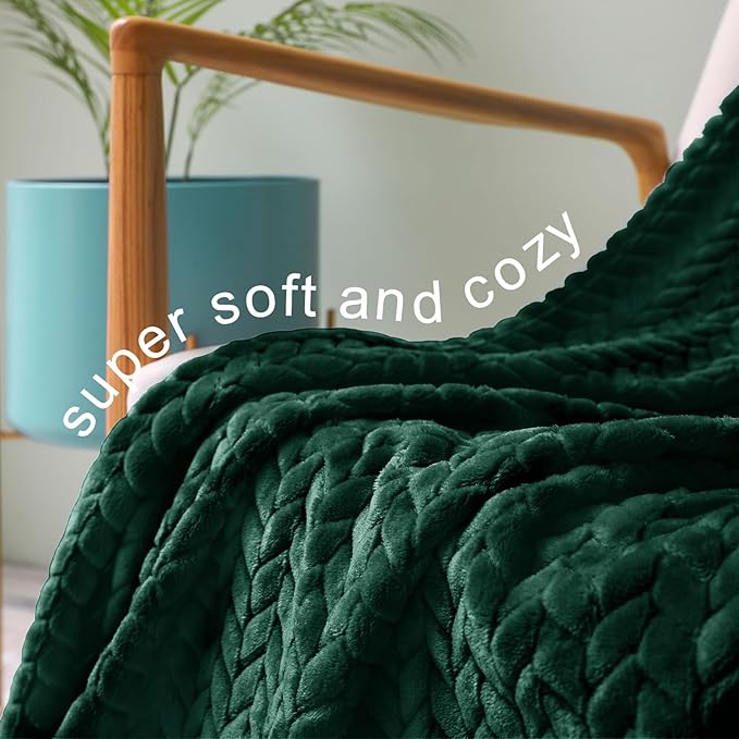 Exclusivo Mezcla Fleece Queen Size Blanket for Bed, 90x90 Inches Soft Cozy Jacquard Flannel Blankets, Lightweight Fuzzy Plush Warm for Winter, Forest Green