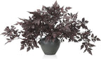 Lyrow 10 Pack Artificial Cimicifuga Plant Leaf Spray Faux Plum Cimicifuga Ramosa Leaf Branch Faux Fall Spray Silk Plants for Home Vase Wedding Garden Farmhouse Table Mantel Decor (32 Inches)