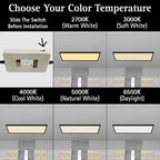 Ultralux Framed 1x4 ft LED Light Panel - CCT Switchable Surface Mount Light with Integrated Frame for Kitchen, Home & Office - TRIAC Dimmable, 5 CCT Adjustable Color Temperature (Matte Black, 2 Pack)