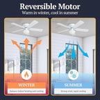 Prominence Home Alvina Traditional 42 Inch Ceiling Fan with Light, LED Flush Mount Ceiling Fan, Indoor Fan with 5 Blades, White and Gray Oak Blade Finish Options, White (80092-01)