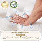 Queen Mattress 14 Inch, Hybrid Memory Foam Mattress with Zoned Pocket Springs Support and Motion Isolation, Medium Firm Feel Pressure Relief for Bed 80" x 60"