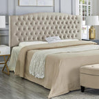 24KF Upholstered Tufted Button Velvet Headboard,Comfortable Fashional Headboard King/CA King Size,Taupe
